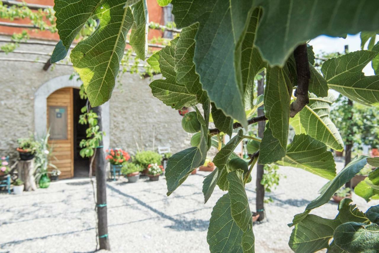 Rifugio Tra Gli Ulivi Bed & Breakfast