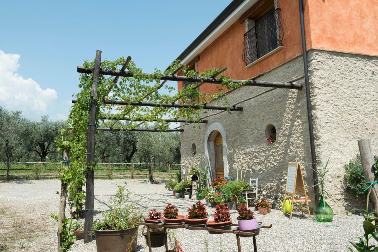 Rifugio Tra Gli Ulivi Bed & Breakfast *