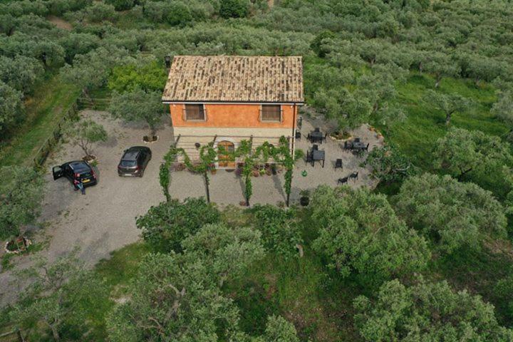Rifugio Tra Gli Ulivi Bed & Breakfast Campagna